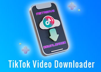  TikTok Video Downloader